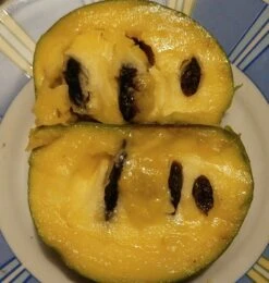 Veredelte Indianerbanane (Paw Paw) `Shenandoah®´ Asimina Triloba `Shenandoah´ 7 Veredelte Indianerbanane (Paw Paw) `Shenandoah®´ Asimina Triloba `Shenandoah´ -Obstbäume Verkäufe Indianerbanane von Innen5a0476156796c