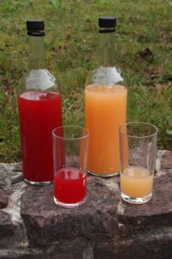 Rosette® Malus Domestica -Obstbäume Verkäufe Rosette Saft