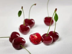 Achat Ⓢ Prunus Cerasus `Achat´ -Obstbäume Verkäufe sauerkirsche achat ggmc5Q8G1QL1D9