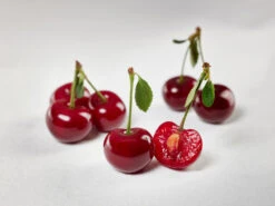 Safir ® Prunus Cerasus `Safir´ -Obstbäume Verkäufe sauerkirsche safir glCz99JjQsQ3RC