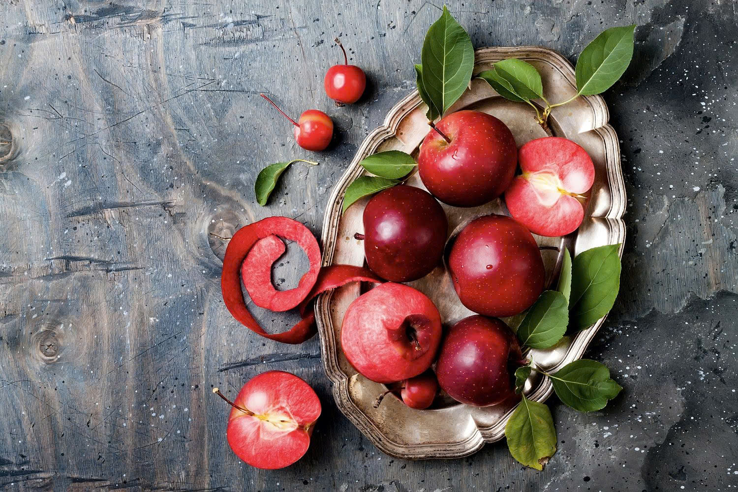 Obstbäume Verkäufe 3 Obstbäume Verkäufe -Obstbäume Verkäufe z6426841835522 4e0034adddbadbae0c09776b60e9c4dc