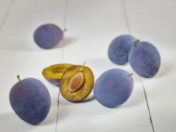 Hanita ® Prunus Domestica `Hanita 11 Hanita ® Prunus Domestica `Hanita -Obstbäume Verkäufe zwetschge hanita g